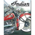 Знак декоративный металлический "Indian"